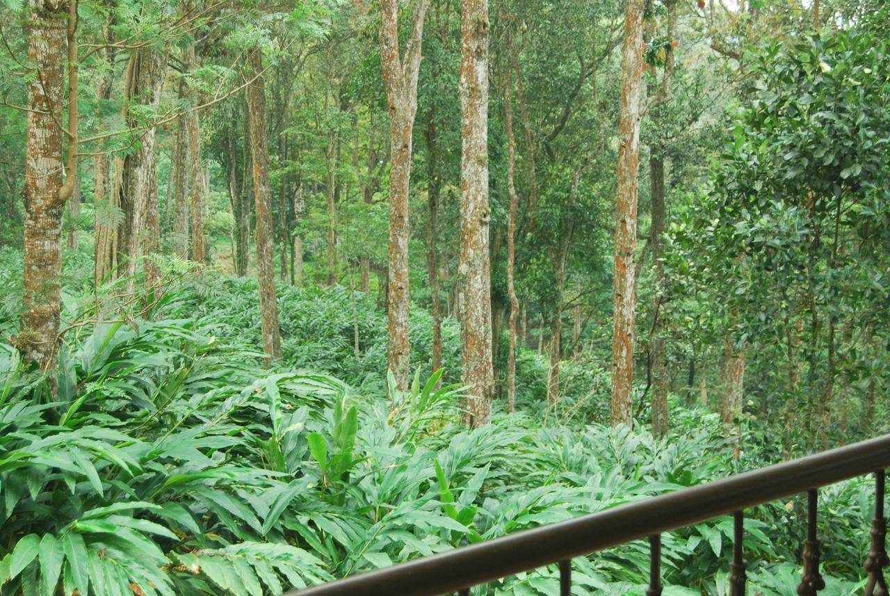 T Cherry Villa Munnar Kültér fotó