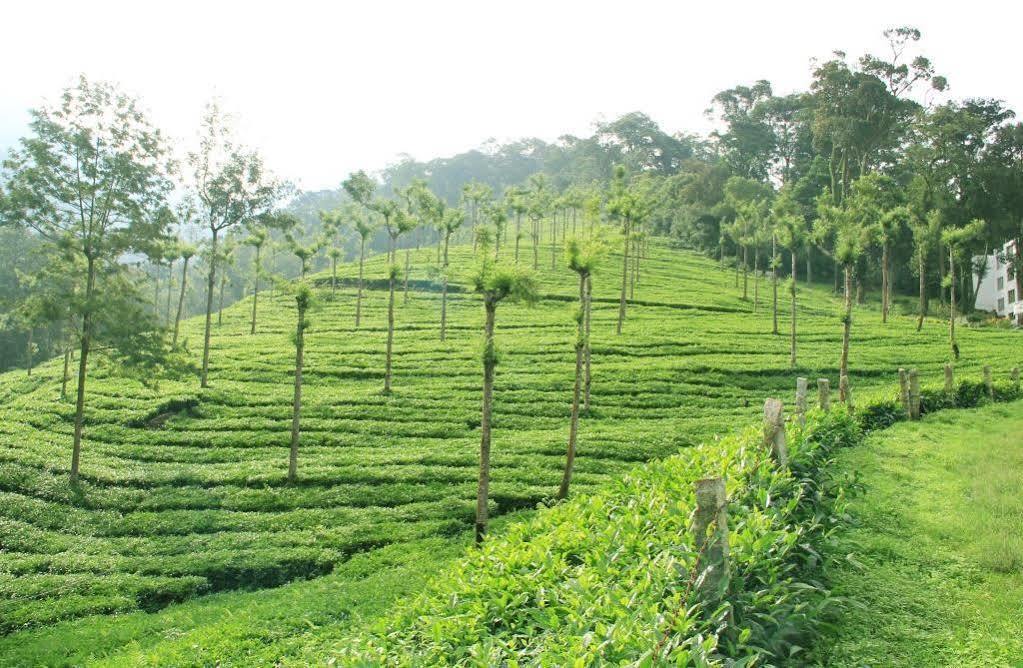 T Cherry Villa Munnar Kültér fotó