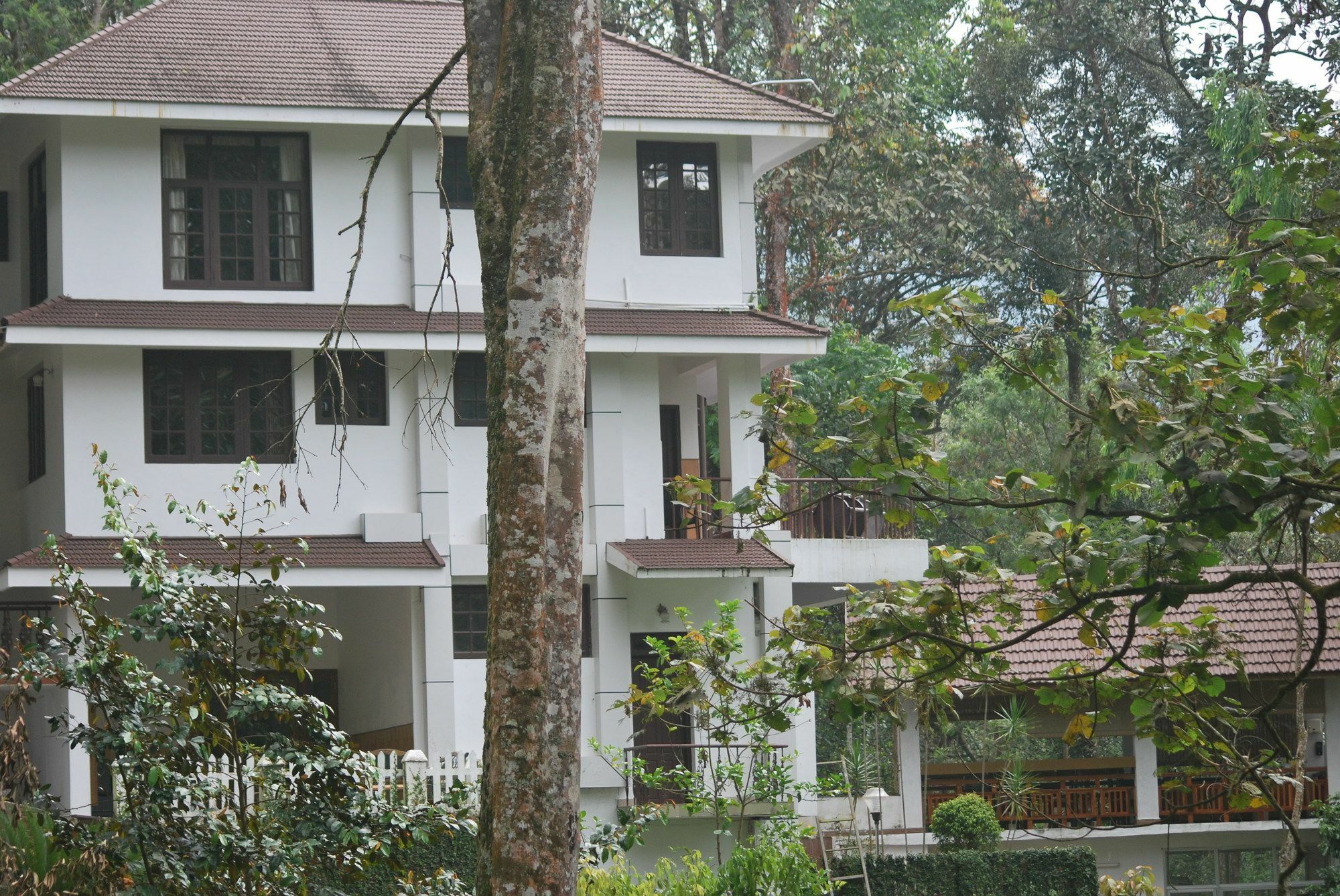 T Cherry Villa Munnar Kültér fotó