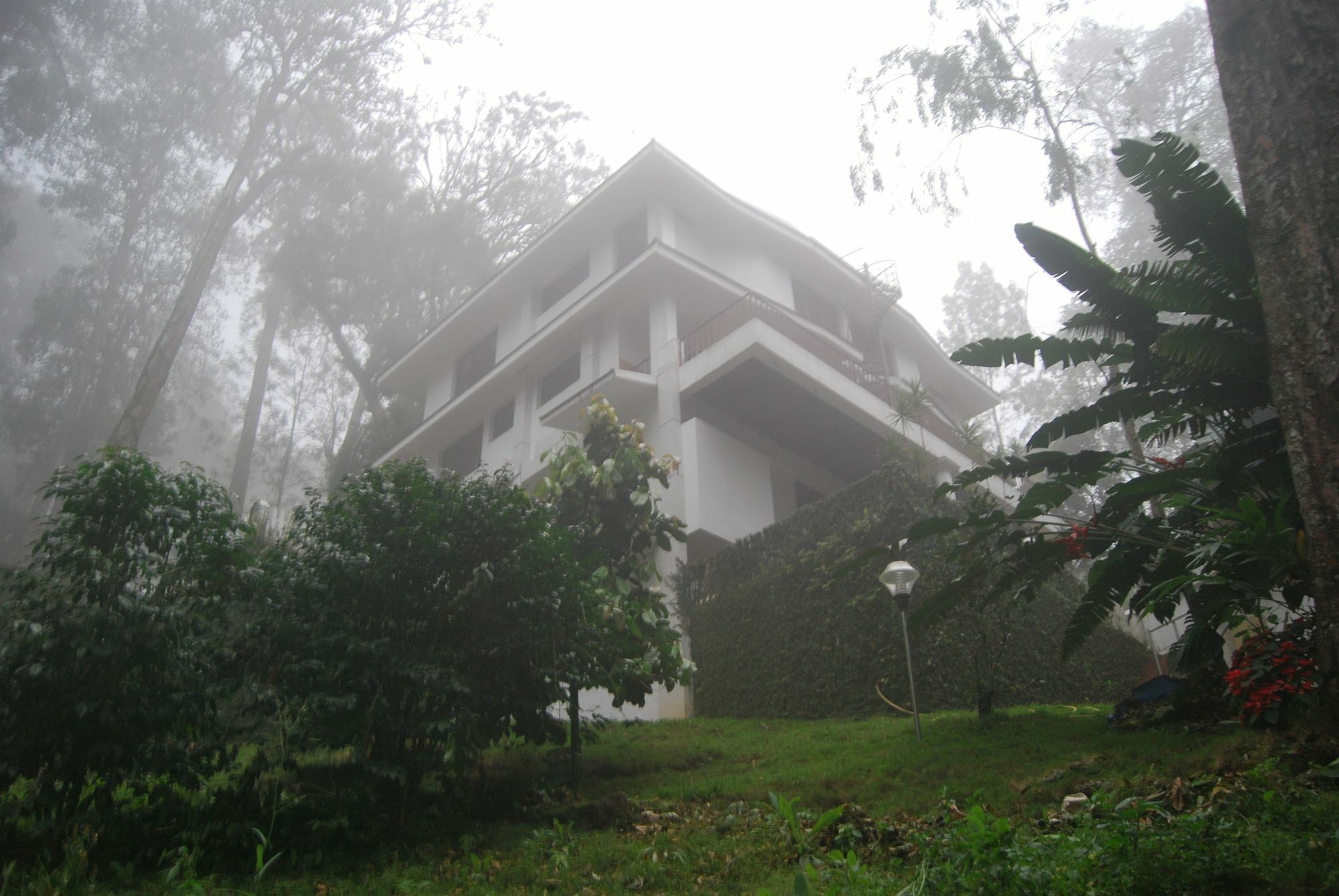 T Cherry Villa Munnar Kültér fotó